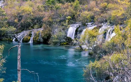 高端可靠性